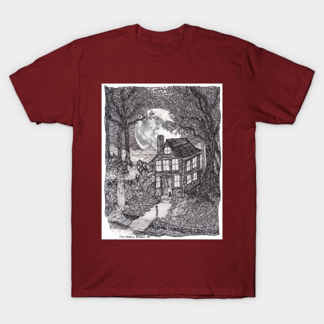 Refuge - Full Moon and a Quiet Night T-Shirt by Christopher's Doodles